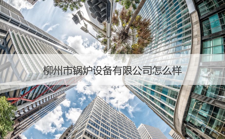 柳州的产业机遇 锅炉设备、就业环境与针纺原料销售分析